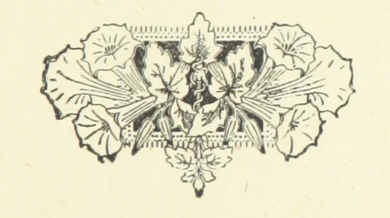 An illustration from Jack Forester's Fate. [A tale, 1893, leaf 105
