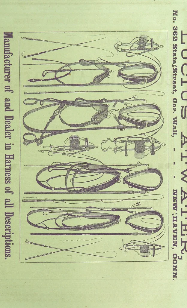 An illustration from Sheppard's Shippers' Guide to the South and West, embracing twenty-three states, Ohio, Indiana, Illinois, etc, 1867, leaf 613