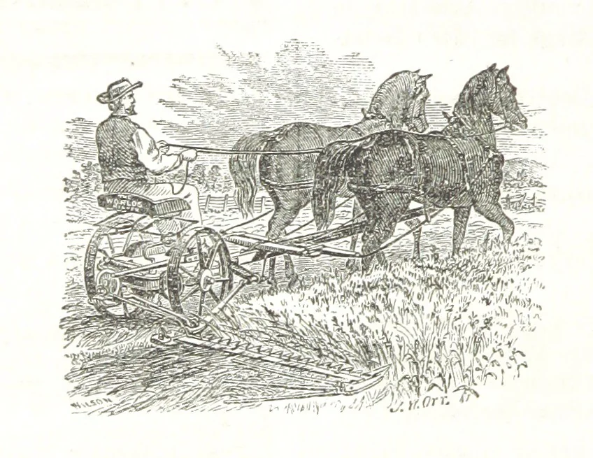 An illustration from Sheppard's Shippers' Guide to the South and West, embracing twenty-three states, Ohio, Indiana, Illinois, etc, 1867, leaf 78