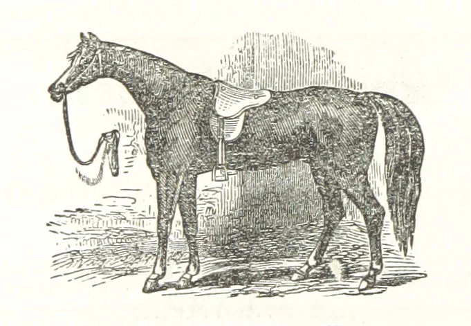 An illustration from Sheppard's Shippers' Guide to the South and West, embracing twenty-three states, Ohio, Indiana, Illinois, etc, 1867, leaf 786
