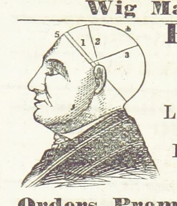 An illustration from Sheppard's Shippers' Guide to the South and West, embracing twenty-three states, Ohio, Indiana, Illinois, etc, 1867, leaf 799