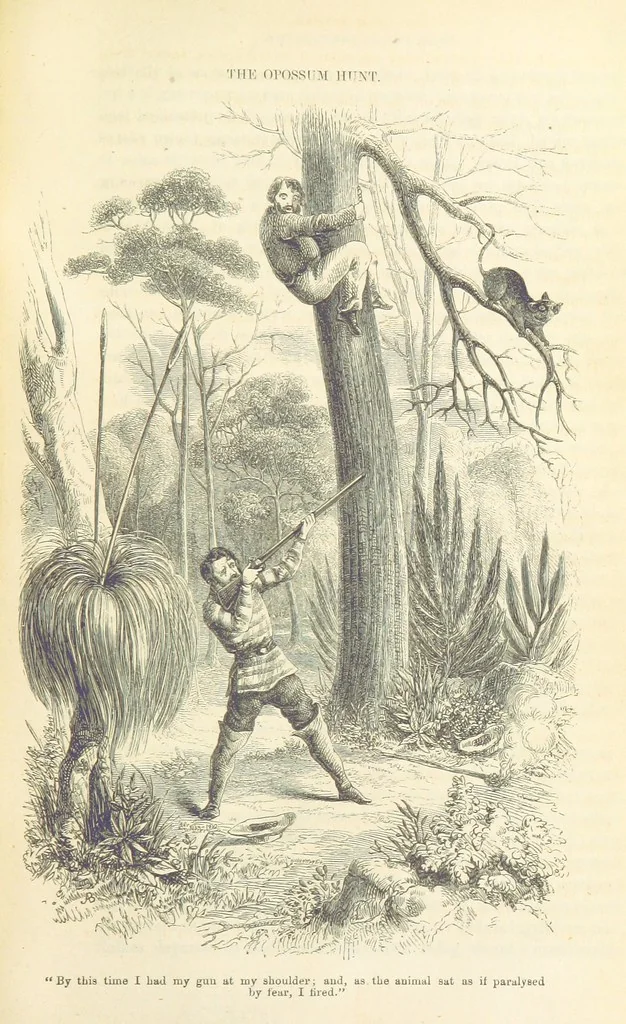 An illustration from Adventures of a Gold-Digger ... Illustrated, etc. [A reissue of “The Gold-Finder of Australia.”, 1856, leaf 133