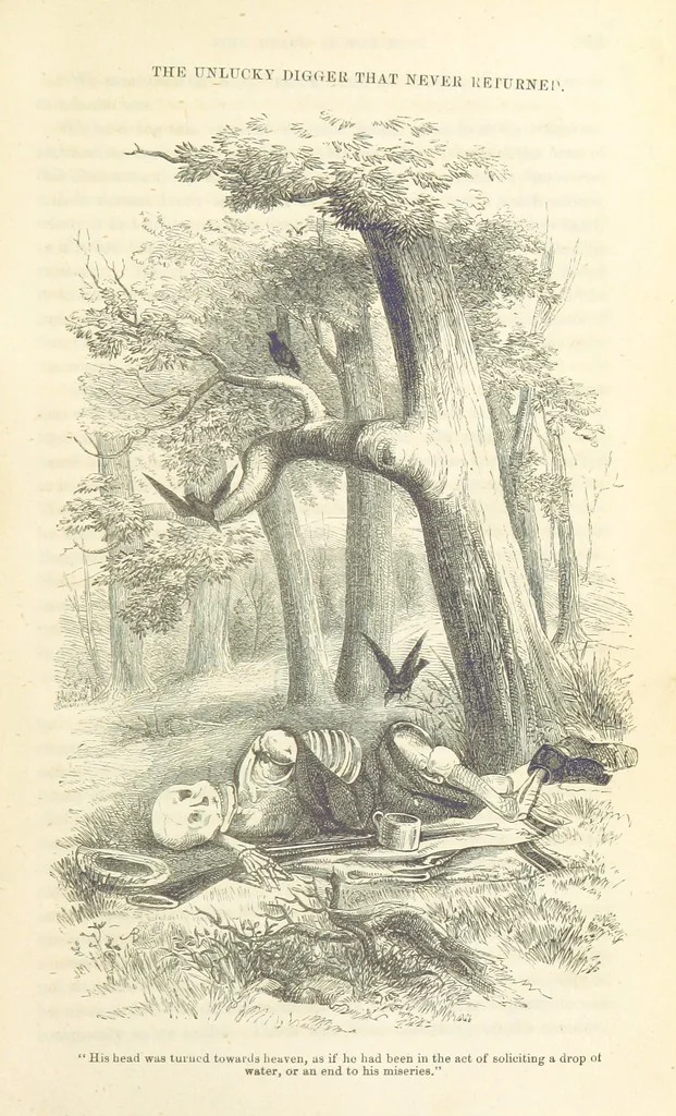 An illustration from Adventures of a Gold-Digger ... Illustrated, etc. [A reissue of “The Gold-Finder of Australia.”, 1856, leaf 151