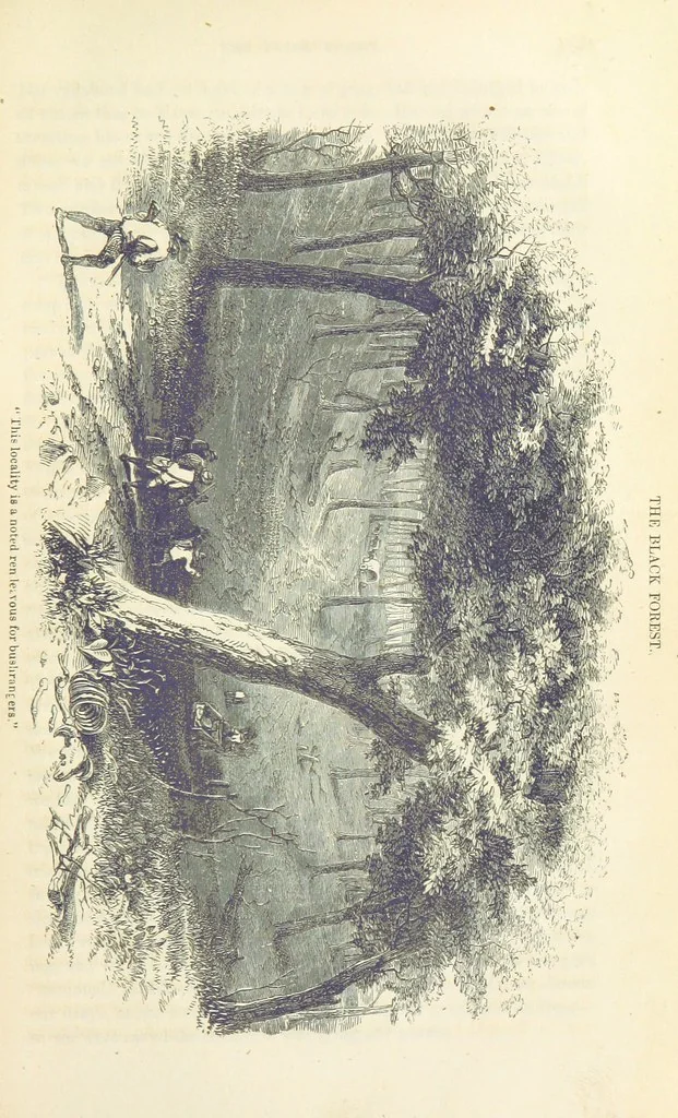 An illustration from Adventures of a Gold-Digger ... Illustrated, etc. [A reissue of “The Gold-Finder of Australia.”, 1856, leaf 229