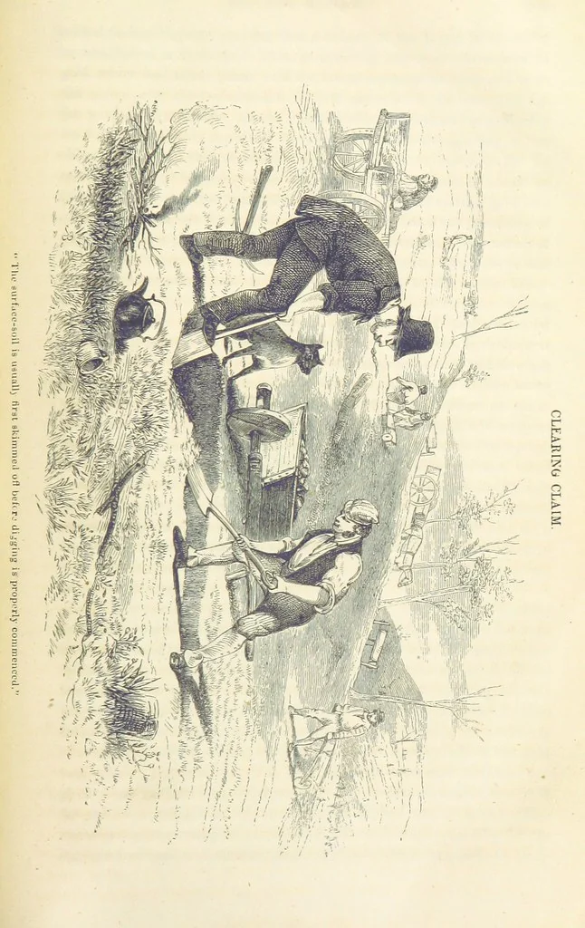 An illustration from Adventures of a Gold-Digger ... Illustrated, etc. [A reissue of “The Gold-Finder of Australia.”, 1856, leaf 387