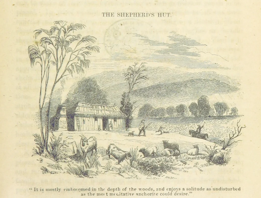 An illustration from Adventures of a Gold-Digger ... Illustrated, etc. [A reissue of “The Gold-Finder of Australia.”, 1856, leaf 451