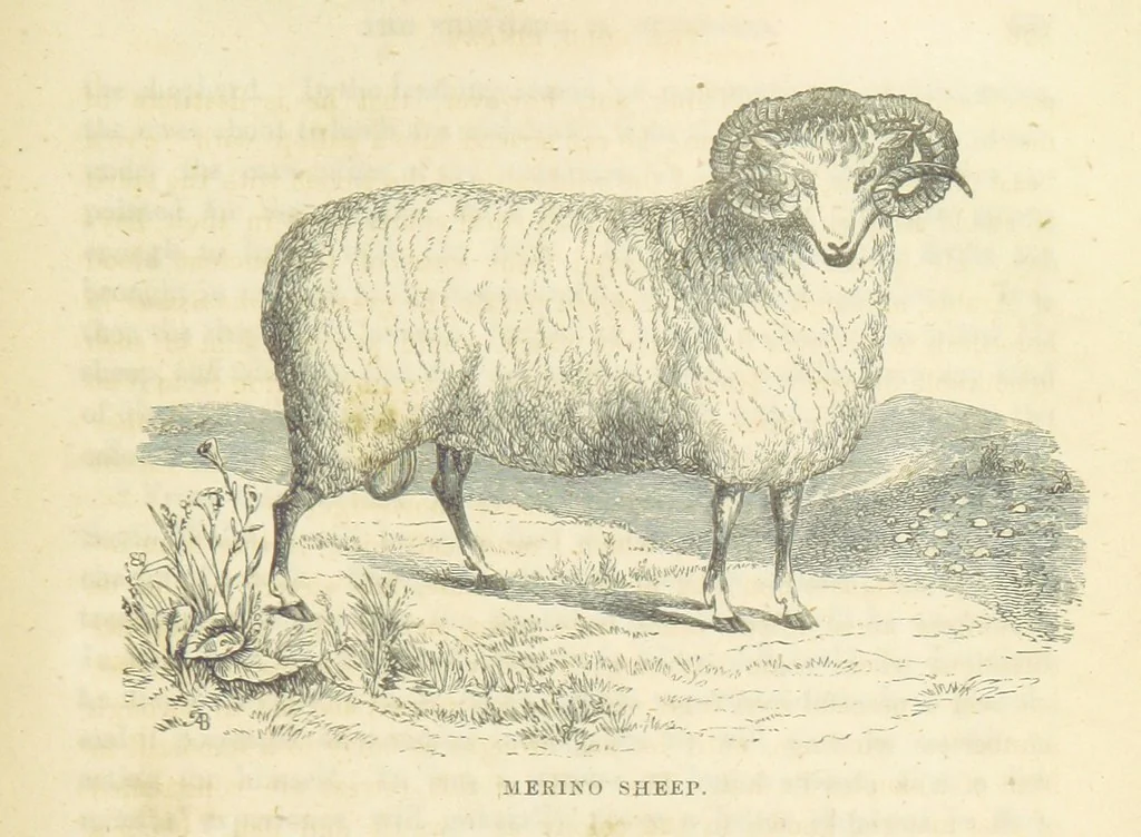 An illustration from Adventures of a Gold-Digger ... Illustrated, etc. [A reissue of “The Gold-Finder of Australia.”, 1856, leaf 451
