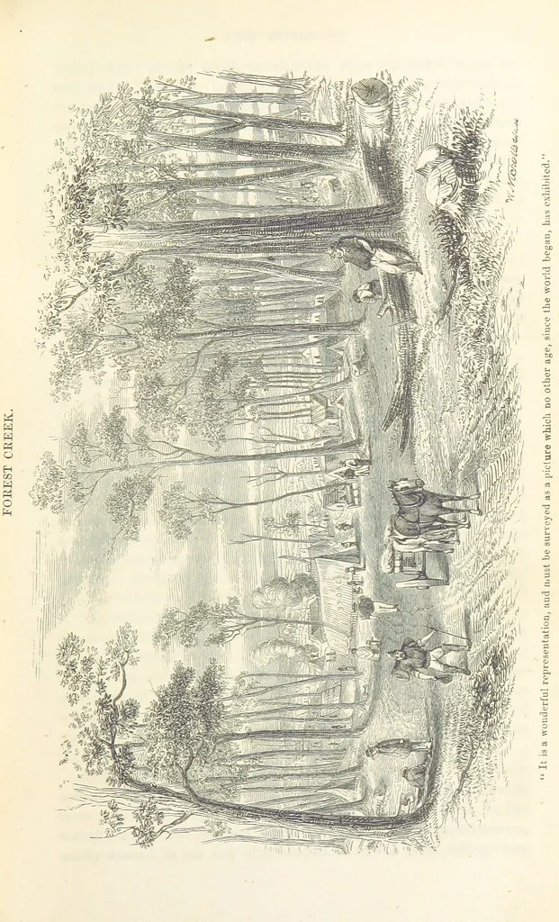 An illustration from Adventures of a Gold-Digger ... Illustrated, etc. [A reissue of “The Gold-Finder of Australia.”, 1856, leaf 63