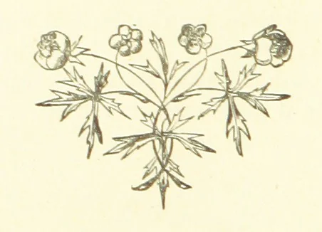 An illustration from Daily Help for Daily Need. A selection of Scripture verses and poetry for every day in the year. Edited by M. E. Shipley, 1873, leaf 140