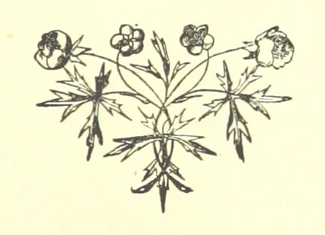An illustration from Daily Help for Daily Need. A selection of Scripture verses and poetry for every day in the year. Edited by M. E. Shipley, 1873, leaf 31