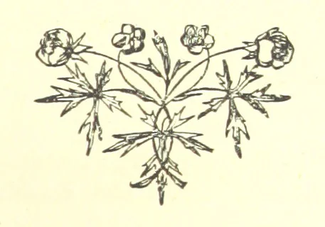 An illustration from Daily Help for Daily Need. A selection of Scripture verses and poetry for every day in the year. Edited by M. E. Shipley, 1873, leaf 379