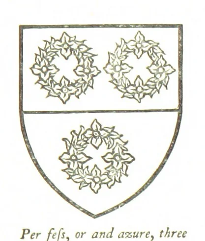 An illustration from The History of the County of Monaghan, 1879, leaf 206