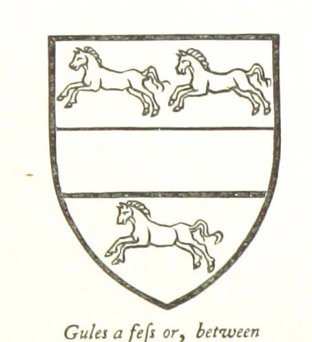 An illustration from The History of the County of Monaghan, 1879, leaf 206