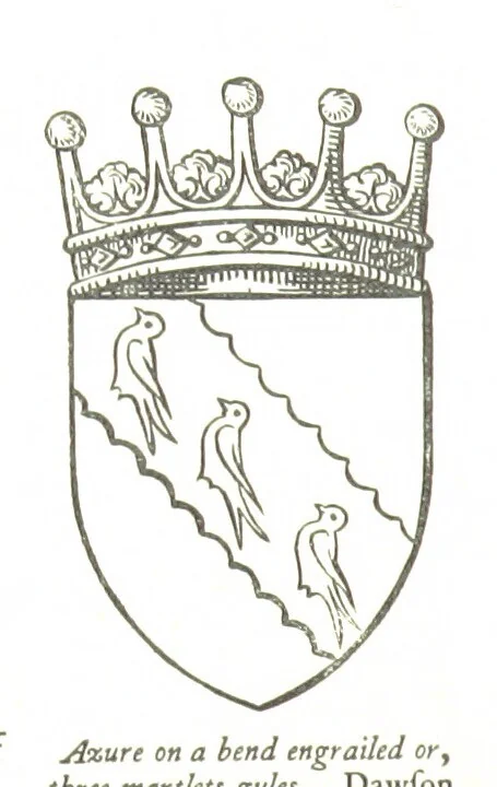 An illustration from The History of the County of Monaghan, 1879, leaf 210