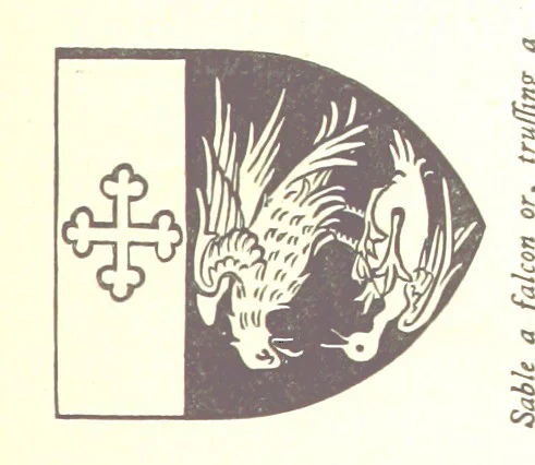 An illustration from The History of the County of Monaghan, 1879, leaf 217