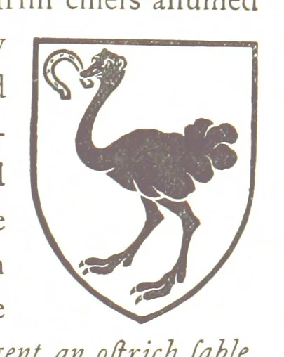 An illustration from The History of the County of Monaghan, 1879, leaf 227