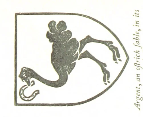 An illustration from The History of the County of Monaghan, 1879, leaf 232