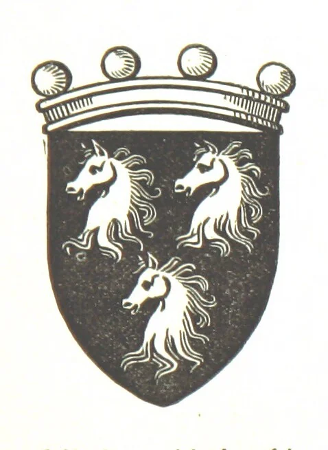 An illustration from The History of the County of Monaghan, 1879, leaf 276