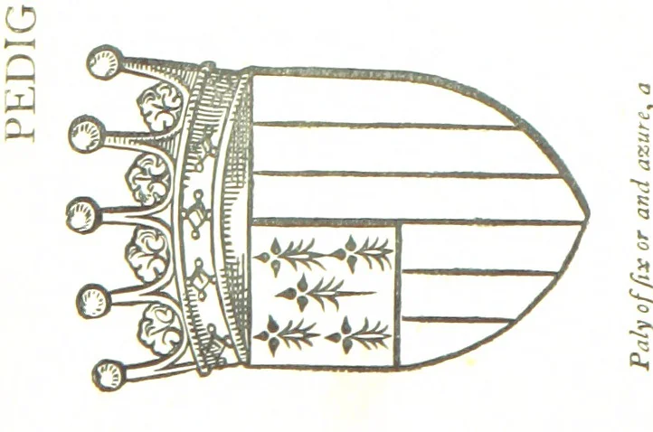 An illustration from The History of the County of Monaghan, 1879, leaf 310