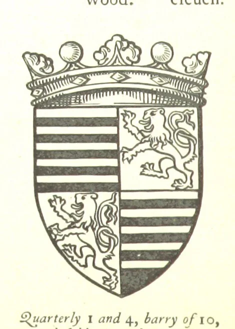 An illustration from The History of the County of Monaghan, 1879, leaf 312