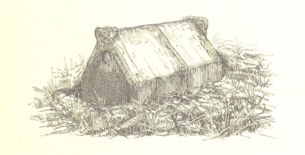 An illustration from The History of the County of Monaghan, 1879, leaf 349