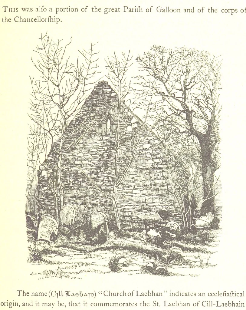 An illustration from The History of the County of Monaghan, 1879, leaf 361