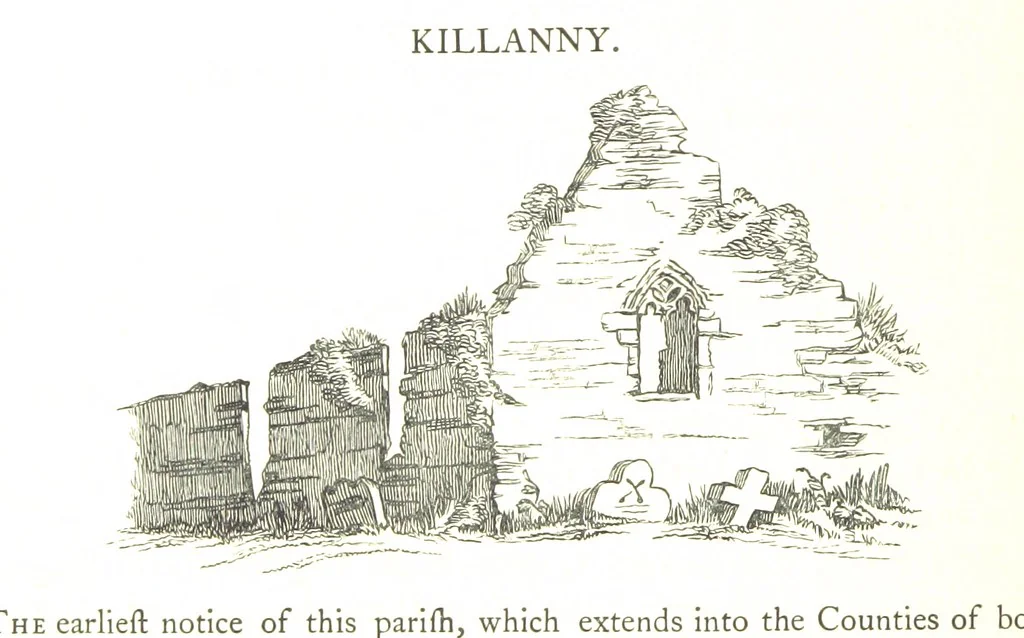 An illustration from The History of the County of Monaghan, 1879, leaf 402