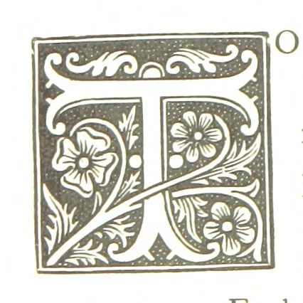 An illustration from The History of the County of Monaghan, 1879, leaf 48