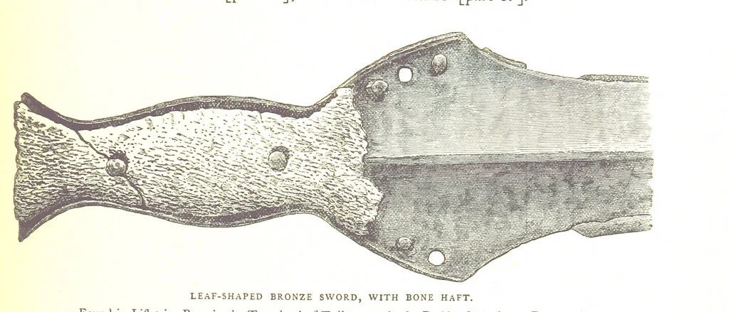 An illustration from The History of the County of Monaghan, 1879, leaf 513