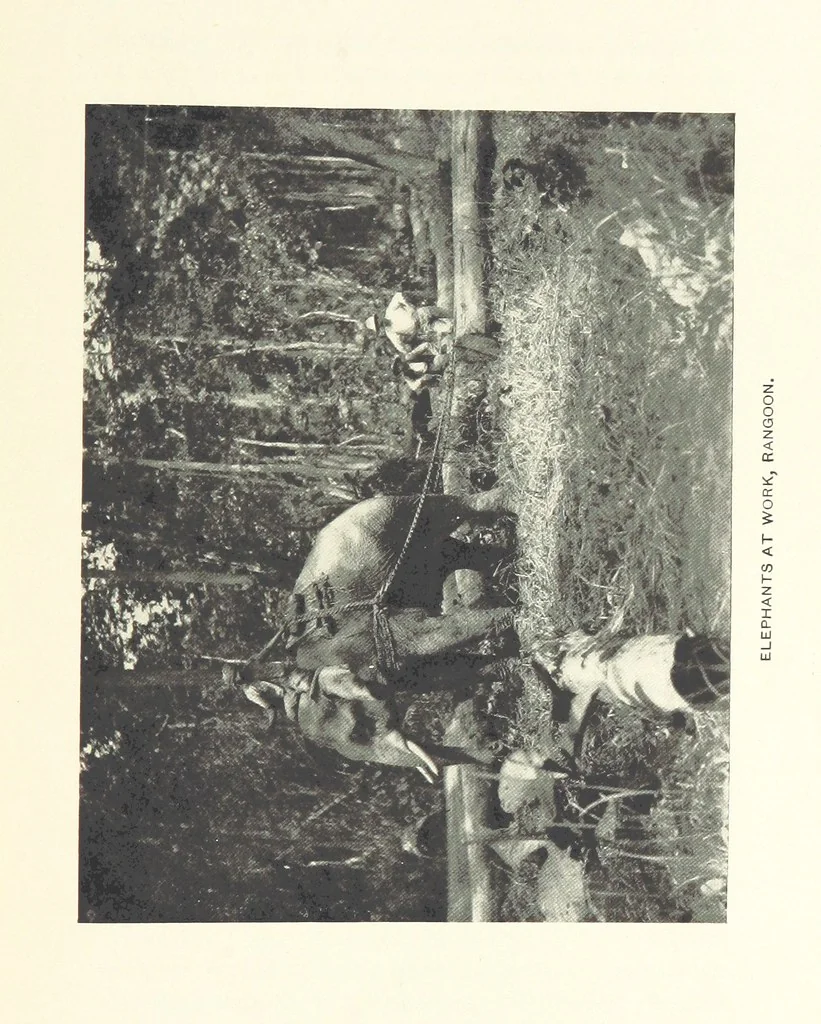 An illustration from Quaint Corners of Ancient Empires: Southern India, Burma, and Manila ... Illustrated, 1899, leaf 107