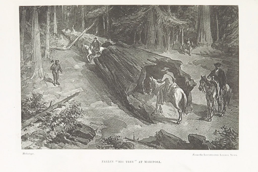 An illustration from Meeting the Sun: a journey all round the world, through Egypt, China, Japan, and California ... With ... heliotype and other illustrations, 1874, leaf 499