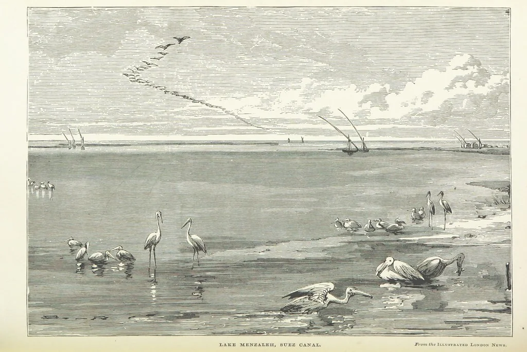 An illustration from Meeting the Sun: a journey all round the world, through Egypt, China, Japan, and California ... With ... heliotype and other illustrations, 1874, leaf 72