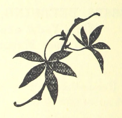 An illustration from Royal Ramsgate. Second edition, 1897, leaf 92