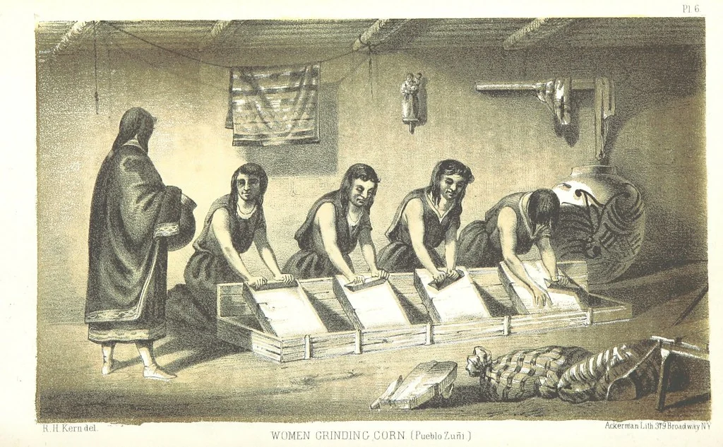 An illustration from Report of an expedition down the Zuni and Colorado Rivers by Captain L. Sitgreaves ... Illustrations. (Report on ... Natural History ... by S. W. Woodhouse. Zoology: mammals and birds by S. W. Woodhouse; reptiles by E. Hallowell; fishes by S. F. Baird and C. Girard. Botany: by Professor J. Torrey. Medical report; by S. W. Woodhouse.), 1853, leaf 24