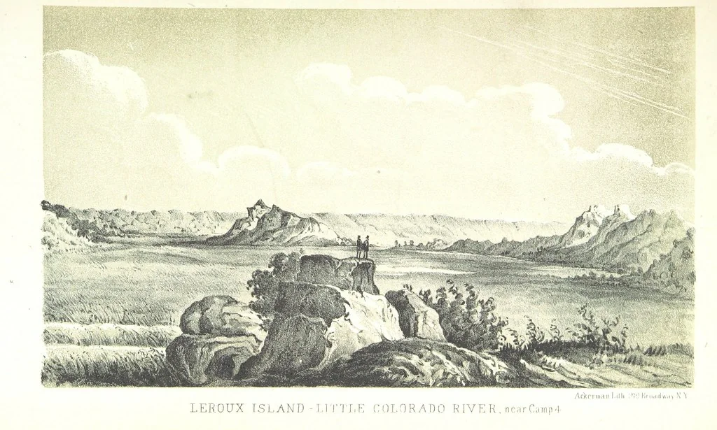 An illustration from Report of an expedition down the Zuni and Colorado Rivers by Captain L. Sitgreaves ... Illustrations. (Report on ... Natural History ... by S. W. Woodhouse. Zoology: mammals and birds by S. W. Woodhouse; reptiles by E. Hallowell; fishes by S. F. Baird and C. Girard. Botany: by Professor J. Torrey. Medical report; by S. W. Woodhouse.), 1853, leaf 29
