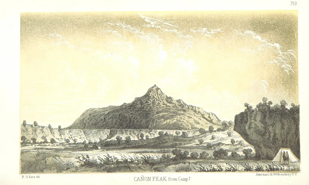 An illustration from Report of an expedition down the Zuni and Colorado Rivers by Captain L. Sitgreaves ... Illustrations. (Report on ... Natural History ... by S. W. Woodhouse. Zoology: mammals and birds by S. W. Woodhouse; reptiles by E. Hallowell; fishes by S. F. Baird and C. Girard. Botany: by Professor J. Torrey. Medical report; by S. W. Woodhouse.), 1853, leaf 32