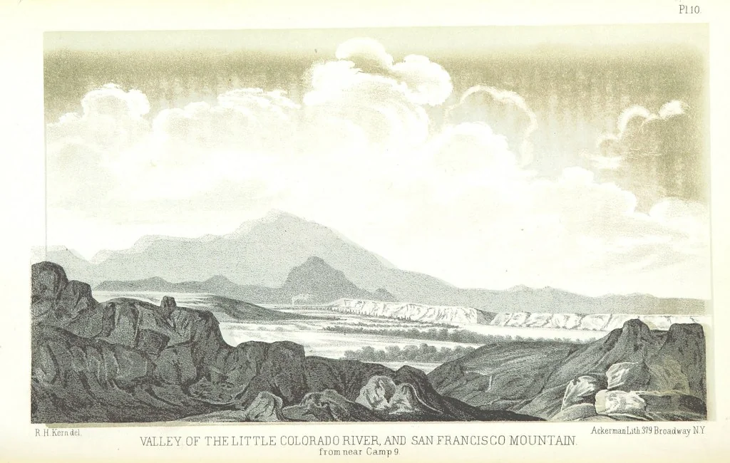 An illustration from Report of an expedition down the Zuni and Colorado Rivers by Captain L. Sitgreaves ... Illustrations. (Report on ... Natural History ... by S. W. Woodhouse. Zoology: mammals and birds by S. W. Woodhouse; reptiles by E. Hallowell; fishes by S. F. Baird and C. Girard. Botany: by Professor J. Torrey. Medical report; by S. W. Woodhouse.), 1853, leaf 34