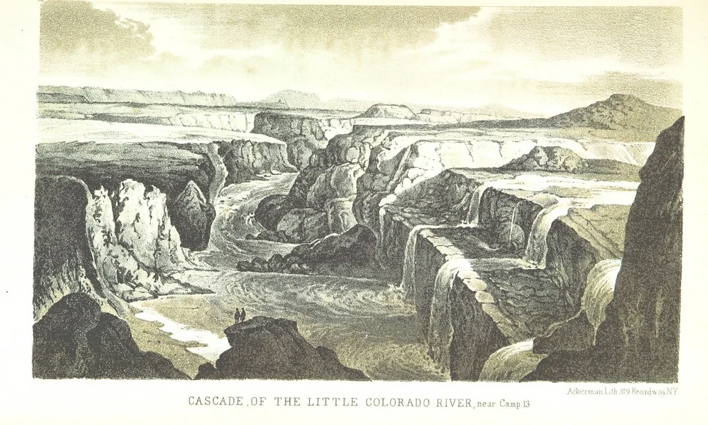 An illustration from Report of an expedition down the Zuni and Colorado Rivers by Captain L. Sitgreaves ... Illustrations. (Report on ... Natural History ... by S. W. Woodhouse. Zoology: mammals and birds by S. W. Woodhouse; reptiles by E. Hallowell; fishes by S. F. Baird and C. Girard. Botany: by Professor J. Torrey. Medical report; by S. W. Woodhouse.), 1853, leaf 37
