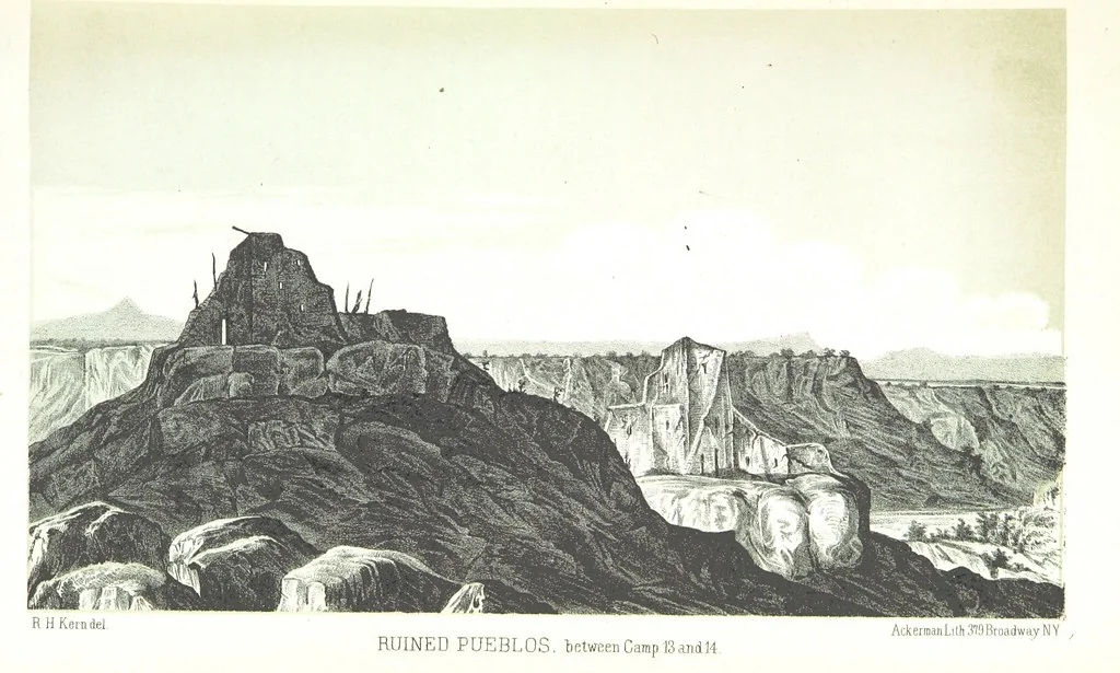 An illustration from Report of an expedition down the Zuni and Colorado Rivers by Captain L. Sitgreaves ... Illustrations. (Report on ... Natural History ... by S. W. Woodhouse. Zoology: mammals and birds by S. W. Woodhouse; reptiles by E. Hallowell; fishes by S. F. Baird and C. Girard. Botany: by Professor J. Torrey. Medical report; by S. W. Woodhouse.), 1853, leaf 39