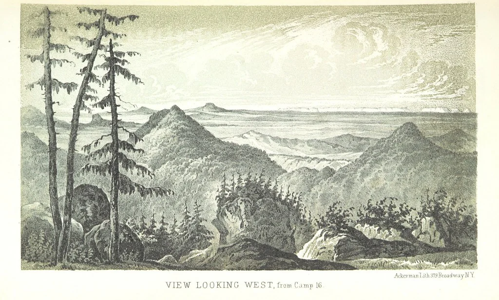 An illustration from Report of an expedition down the Zuni and Colorado Rivers by Captain L. Sitgreaves ... Illustrations. (Report on ... Natural History ... by S. W. Woodhouse. Zoology: mammals and birds by S. W. Woodhouse; reptiles by E. Hallowell; fishes by S. F. Baird and C. Girard. Botany: by Professor J. Torrey. Medical report; by S. W. Woodhouse.), 1853, leaf 43