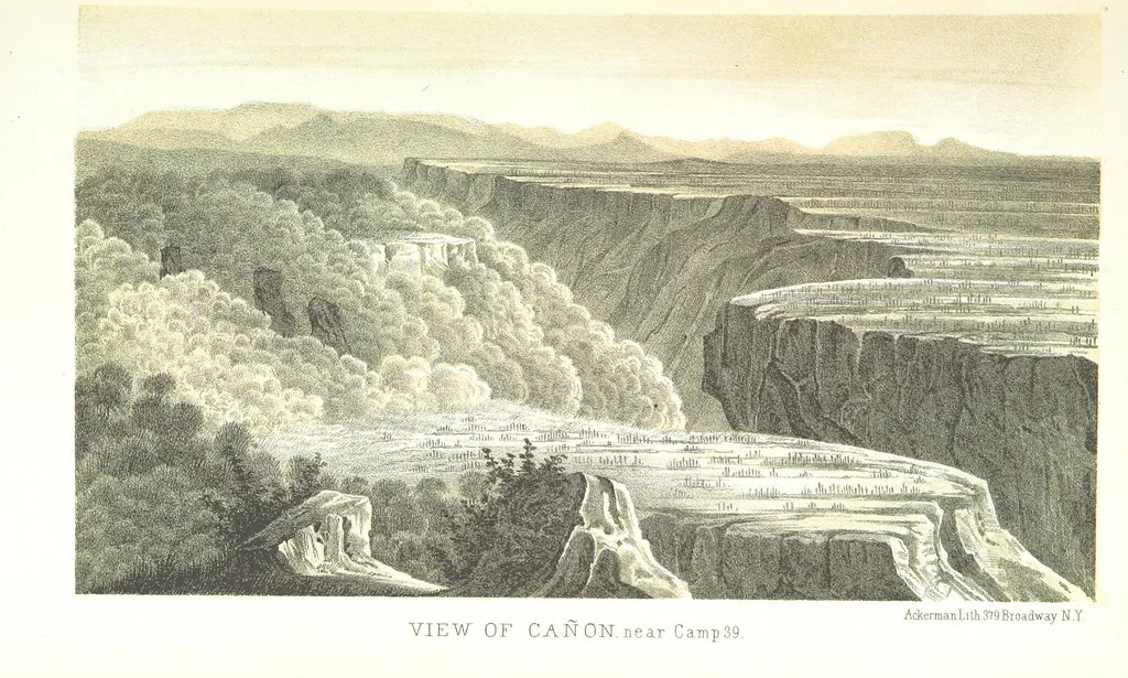 An illustration from Report of an expedition down the Zuni and Colorado Rivers by Captain L. Sitgreaves ... Illustrations. (Report on ... Natural History ... by S. W. Woodhouse. Zoology: mammals and birds by S. W. Woodhouse; reptiles by E. Hallowell; fishes by S. F. Baird and C. Girard. Botany: by Professor J. Torrey. Medical report; by S. W. Woodhouse.), 1853, leaf 45