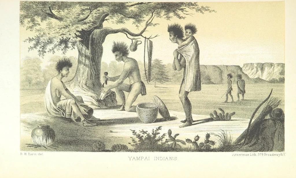 An illustration from Report of an expedition down the Zuni and Colorado Rivers by Captain L. Sitgreaves ... Illustrations. (Report on ... Natural History ... by S. W. Woodhouse. Zoology: mammals and birds by S. W. Woodhouse; reptiles by E. Hallowell; fishes by S. F. Baird and C. Girard. Botany: by Professor J. Torrey. Medical report; by S. W. Woodhouse.), 1853, leaf 51