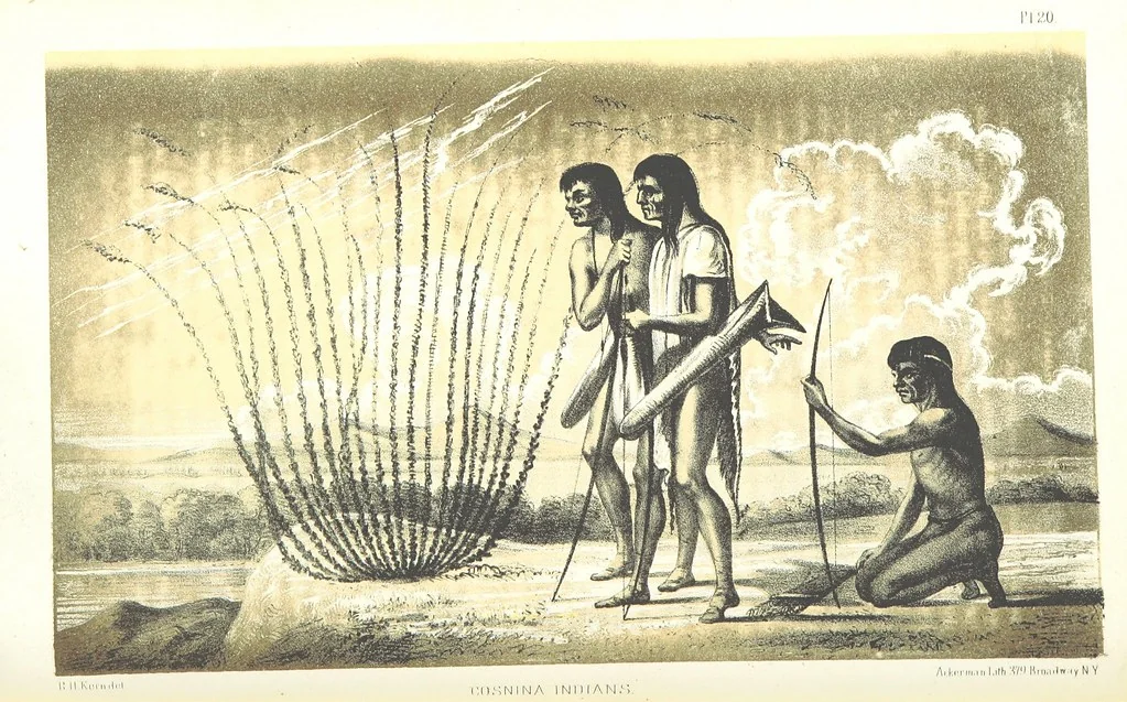 An illustration from Report of an expedition down the Zuni and Colorado Rivers by Captain L. Sitgreaves ... Illustrations. (Report on ... Natural History ... by S. W. Woodhouse. Zoology: mammals and birds by S. W. Woodhouse; reptiles by E. Hallowell; fishes by S. F. Baird and C. Girard. Botany: by Professor J. Torrey. Medical report; by S. W. Woodhouse.), 1853, leaf 56