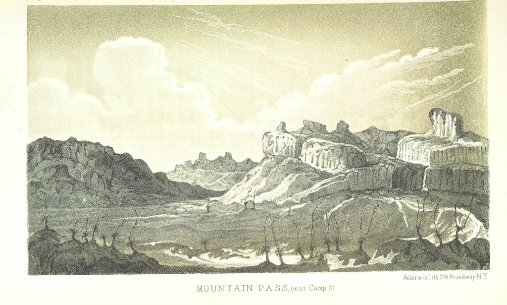 An illustration from Report of an expedition down the Zuni and Colorado Rivers by Captain L. Sitgreaves ... Illustrations. (Report on ... Natural History ... by S. W. Woodhouse. Zoology: mammals and birds by S. W. Woodhouse; reptiles by E. Hallowell; fishes by S. F. Baird and C. Girard. Botany: by Professor J. Torrey. Medical report; by S. W. Woodhouse.), 1853, leaf 61