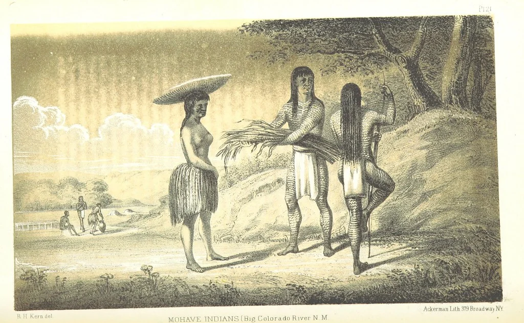 An illustration from Report of an expedition down the Zuni and Colorado Rivers by Captain L. Sitgreaves ... Illustrations. (Report on ... Natural History ... by S. W. Woodhouse. Zoology: mammals and birds by S. W. Woodhouse; reptiles by E. Hallowell; fishes by S. F. Baird and C. Girard. Botany: by Professor J. Torrey. Medical report; by S. W. Woodhouse.), 1853, leaf 64