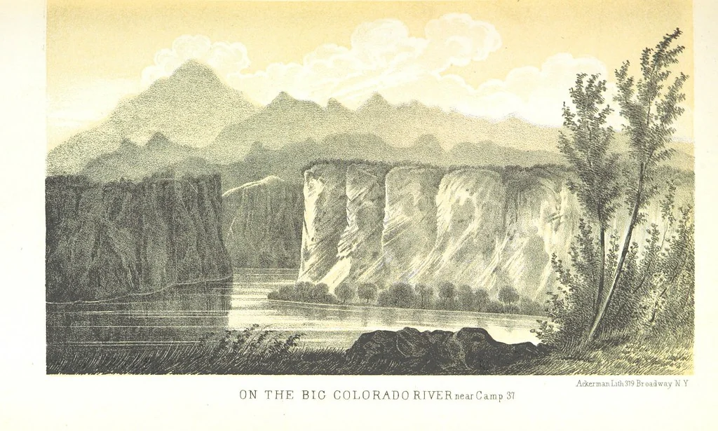 An illustration from Report of an expedition down the Zuni and Colorado Rivers by Captain L. Sitgreaves ... Illustrations. (Report on ... Natural History ... by S. W. Woodhouse. Zoology: mammals and birds by S. W. Woodhouse; reptiles by E. Hallowell; fishes by S. F. Baird and C. Girard. Botany: by Professor J. Torrey. Medical report; by S. W. Woodhouse.), 1853, leaf 69