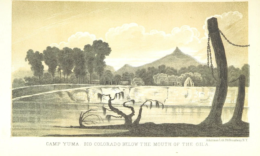 An illustration from Report of an expedition down the Zuni and Colorado Rivers by Captain L. Sitgreaves ... Illustrations. (Report on ... Natural History ... by S. W. Woodhouse. Zoology: mammals and birds by S. W. Woodhouse; reptiles by E. Hallowell; fishes by S. F. Baird and C. Girard. Botany: by Professor J. Torrey. Medical report; by S. W. Woodhouse.), 1853, leaf 71