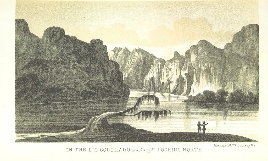 An illustration from Report of an expedition down the Zuni and Colorado Rivers by Captain L. Sitgreaves ... Illustrations. (Report on ... Natural History ... by S. W. Woodhouse. Zoology: mammals and birds by S. W. Woodhouse; reptiles by E. Hallowell; fishes by S. F. Baird and C. Girard. Botany: by Professor J. Torrey. Medical report; by S. W. Woodhouse.), 1853, leaf 73