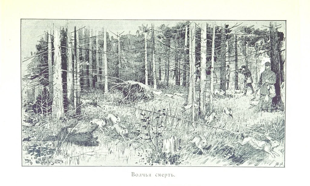 An illustration from По Сѣверу Россіи. Путешествіе ихъ Императорскихъ Высочествъ, Великаго Князя Владиміра Александровича и Великой Княгини Маріи Павловны въ 1884 и 1885 годахъ. [Illustrated, 1886, leaf 149
