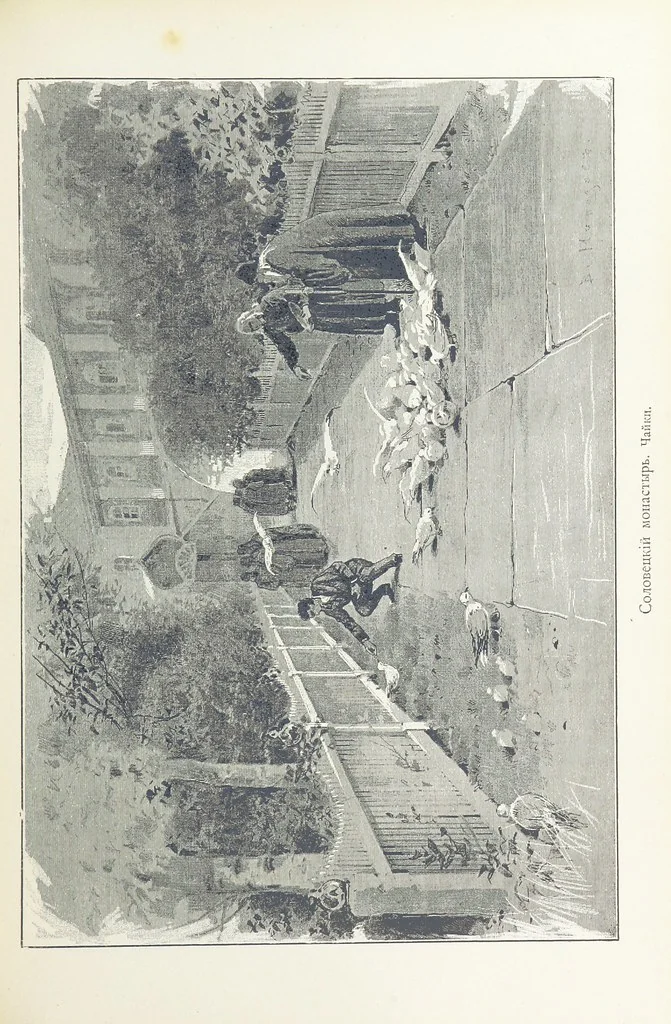 An illustration from По Сѣверо-Западу Россіи. [With illustrations and maps, 1897, leaf 261